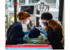 Dental office open on Saturday Near You in Brooklyn, NY | Emergency Dental Service