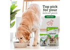 best dry dog food for weight loss dubai