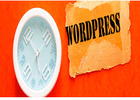 WordPress Development Services in Ahmedabad